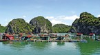 Vẻ đẹp Cát Bà