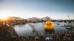 Chú vịt khổng lồ Rubber Duck 