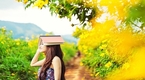Đà Lạt tháng 10 rực vàng mùa hoa Dã Quỳ (P2)