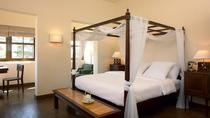 Bellevue Suite